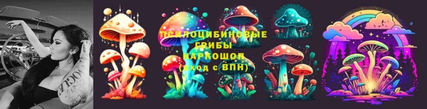 прущий лед Алзамай