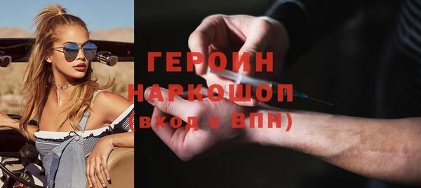 гашик Алексин