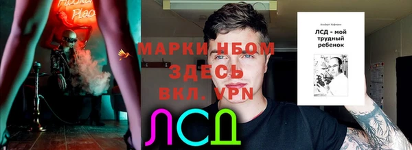 прущий лед Алзамай