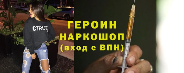 гашик Алексин