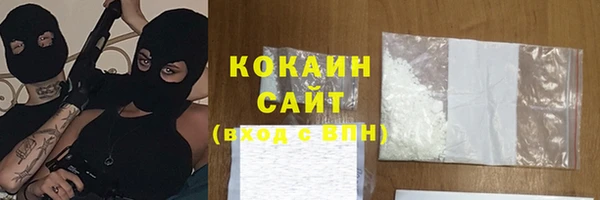 прущий лед Алзамай