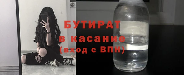 гашик Алексин