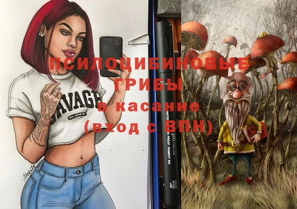 гашик Алексин
