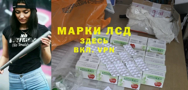 гашик Алексин