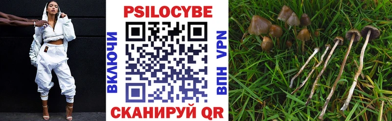 Псилоцибиновые грибы MAGIC MUSHROOMS  Навашино 